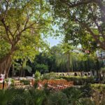 mercure 4